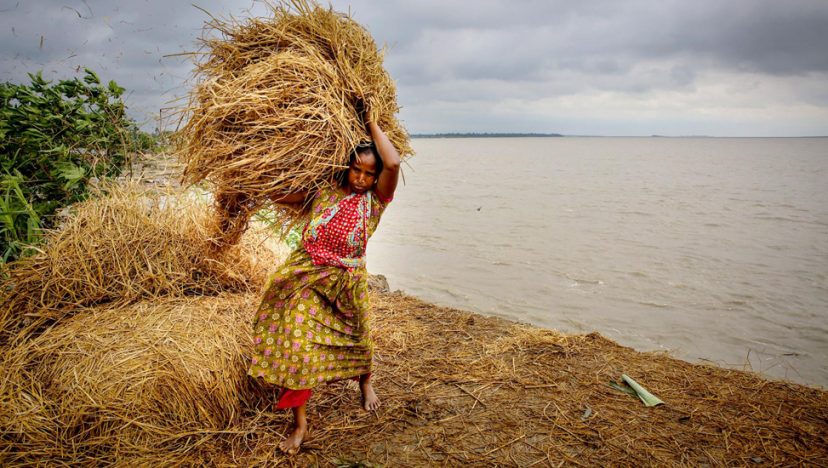 বিশেষ ফিচার I খাদ্যসংস্কৃতিতে নারী