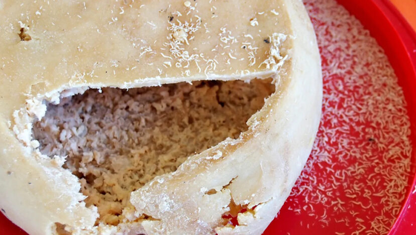 ফিচার I প্রলয়ংকরী পনির