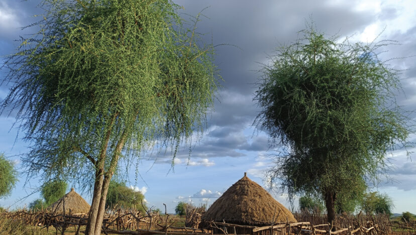 ছুটিরঘণ্টা I ইথিওপিয়ায় আদিবাসী গ্রামে