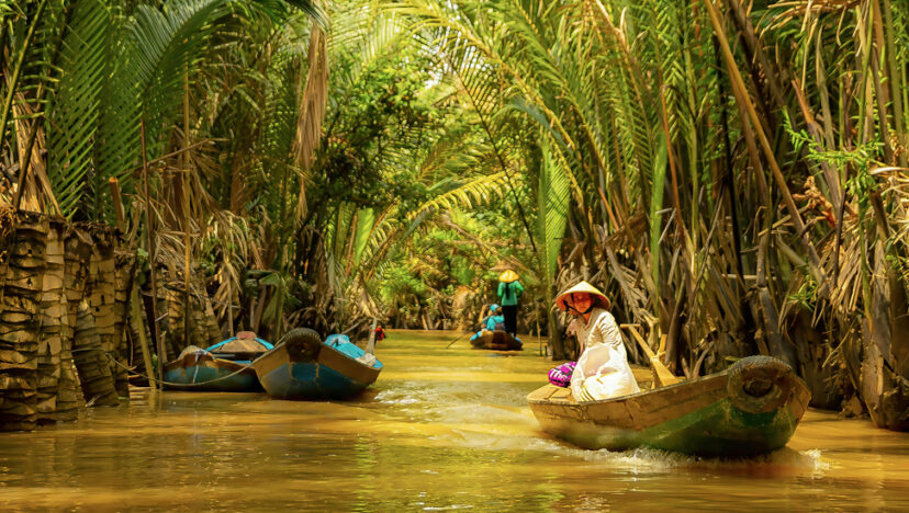 টেকসহি I ম্যানগ্রোভ মধুরিমা