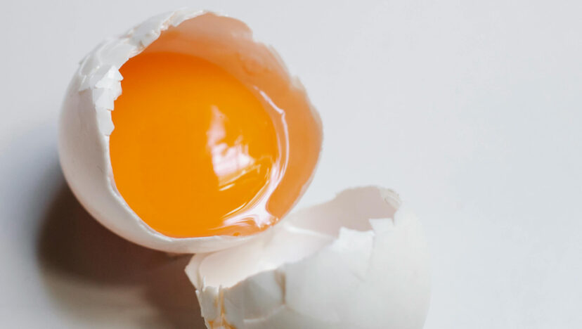 সুলুকসন্ধান I ডিম কীভাবে পাতে এলো