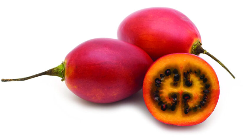 ইনফোগ্রাফ I ট্রি টমেটো