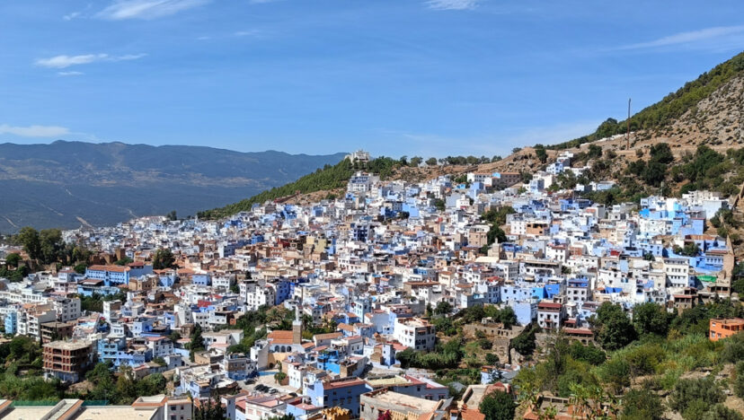 ছুটিরঘণ্টা I নীলাম্বরী শেফশাওয়েন