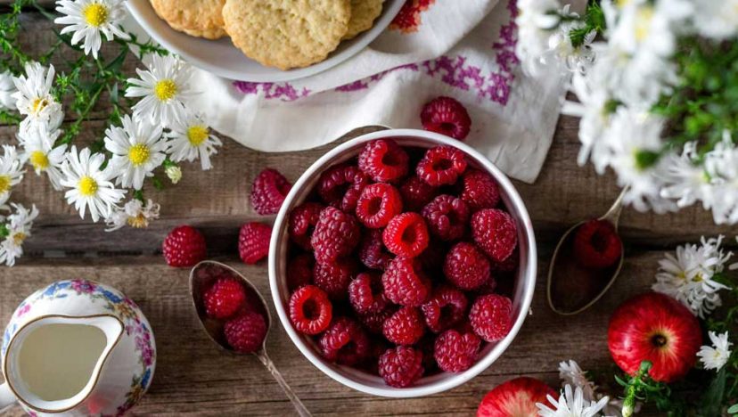 Food-intro-web-december-25