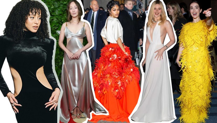 গোথাম অ্যাওয়ার্ড: সেরা লুক ও বিজয়ী তালিকা