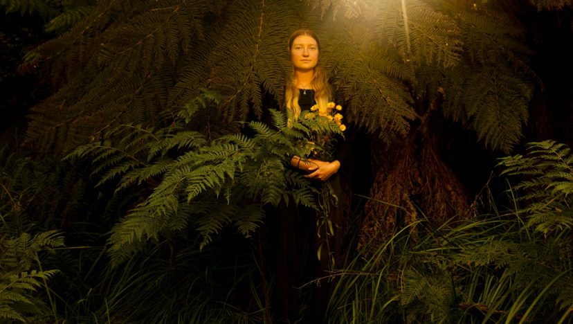 দৃশ্যভাষ্য I অরণ্য আন্দোলনে