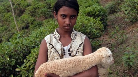 ইউরোপীয় চলচ্চিত্র উৎসবে ‘নিশি’