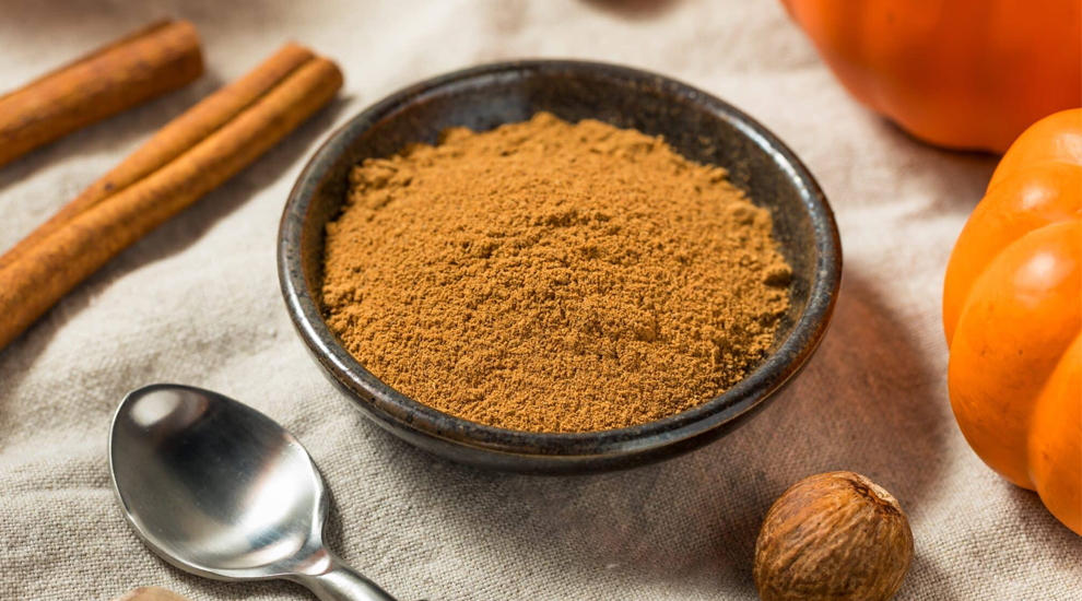 suluk-shondhan-nov-into