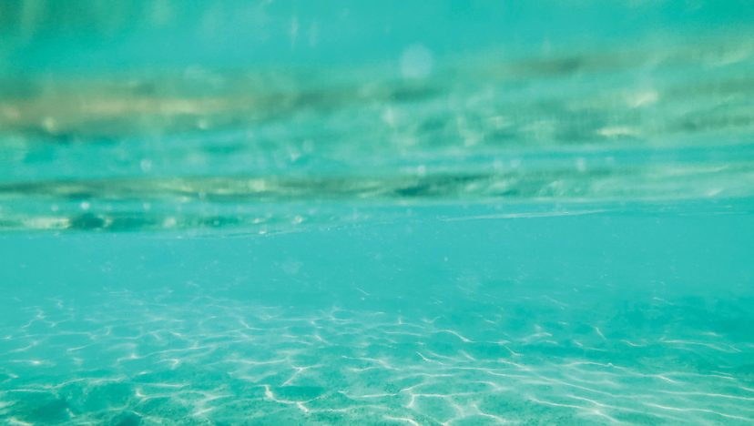 টেকসহি I দ্য বিউটিফুল কালপ্রিট