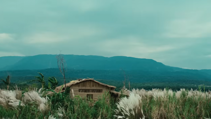 ‘রইদ’এর জন্য ৫০ হাজার গাছ