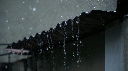 আপনি কি প্লুভিওফাইল