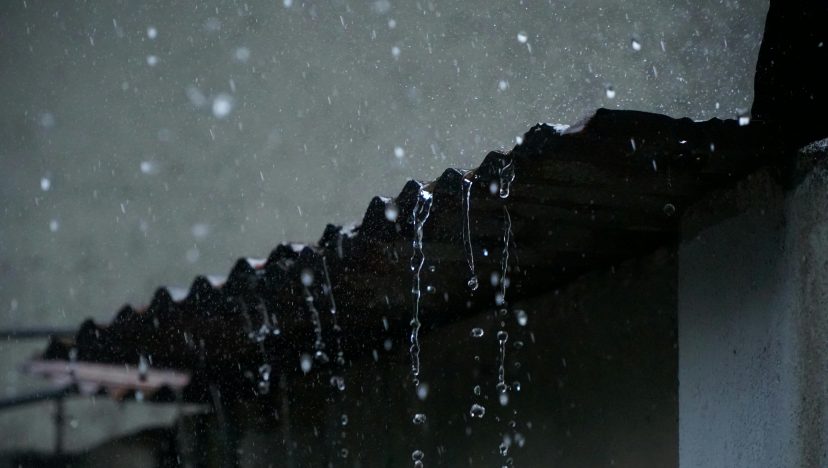 আপনি কি প্লুভিওফাইল